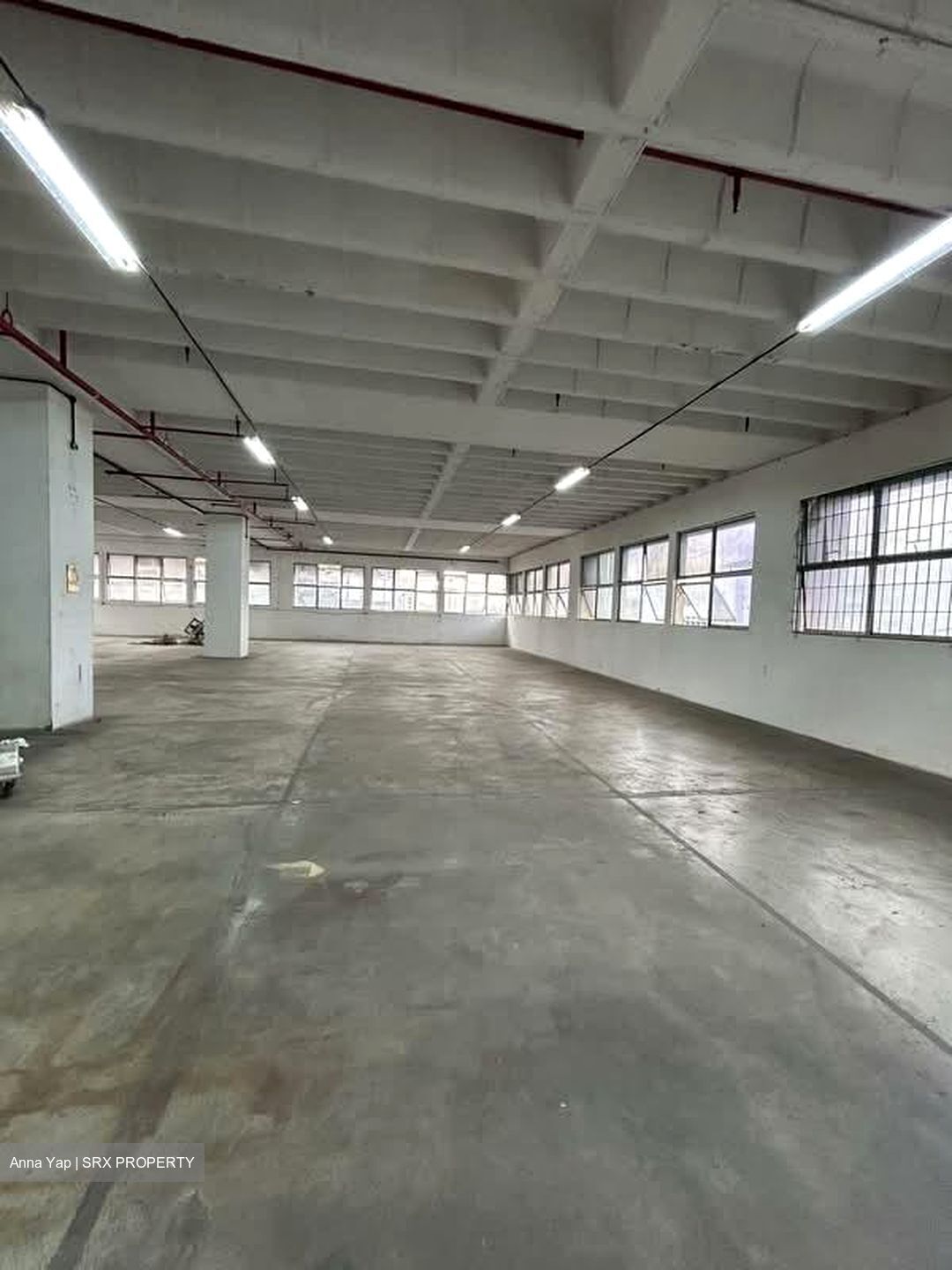 Ruby Land Complex (D13), Factory #538667961